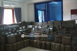 حجز 48 طن من “الزطلة” خلال العام الماضي