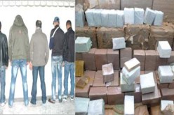 توقيف مروجي المخدرات و بحوزتهما 254.4 غ من المخدرات بالبليدة