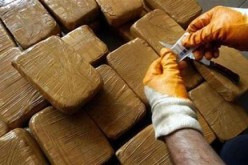 حجز 30 كلغ من المخدرات بعين تموشنت