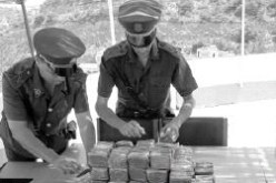 بارونـــــات المخـــدرات‮ ‬يستغلون الإحتجاجات لتمرير قنطـــار من السموم‬