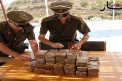 حجز أزيد من 7500 كلغ من الكيف المعالج خلال الثلاثي الثالث بجنوب غرب البلاد