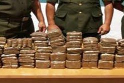 حجز حوالي 5 آلاف كلغ من الكيف على المستوى الوطني خلال جانفي 2012