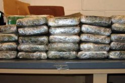 حجز 10 كلغ من الكيف المعالج بعنابة