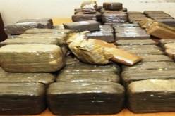 حجز 32 كلغ من الكيف المعالج بتبسة