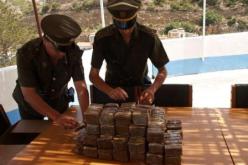 أفراد عصابة يمتهنون وظيفة وكلاء عبور بين موانئ أوروبا والجزائر لتهريب المخدرات