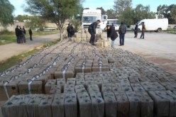 حجز أكثر من  333 قنطار من الكيف وتفكيك 20 شبكة منذ بداية  2014 في تلمسان