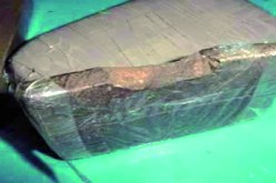 حجز ‮5‬‭,‬‮5 ‬كلغ‮ ‬من الكيف بالعلمة في‮ ‬سطيف