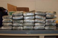 حجز أكثر من 117 كلغ من الكيف المعالج بتلمسان