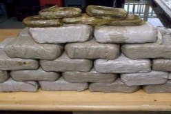 حجز أكثر من 18 كلغ من الكيف بالزوية في تلمسان