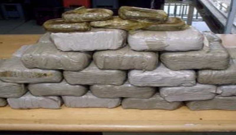 حجز أكثر من 18 كلغ من الكيف بالزوية في تلمسان