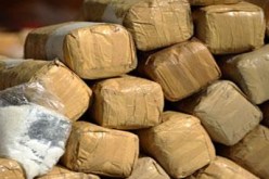 الجيش‮ ‬يُحبط محاولة ‮ ‬تهريب‮  ‬مخدرات بمنطقة‮ ''‬زغدو‮'' ‬بين بشار وتندوف