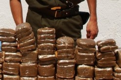 أعوان الدرك لـبوطراق تحجز 3 قناطير من الكيف في تلمسان