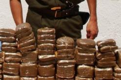 حجز 22 كلغ من المخدرات بأقصى غرب البلاد