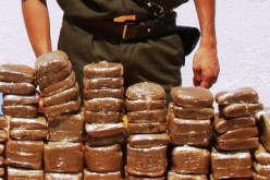 إحباط تهريب أكثر من قنطار من الكيف بتلمسان