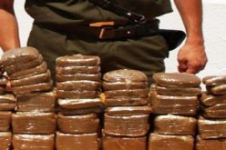 تورط 85 شخصا وحجز أزيد من 24 طنا من الكيف خلال 2011 ببشار