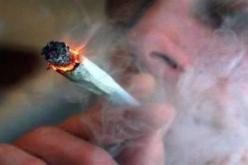 5 بالمائة من المدنين بالجزائر شابات