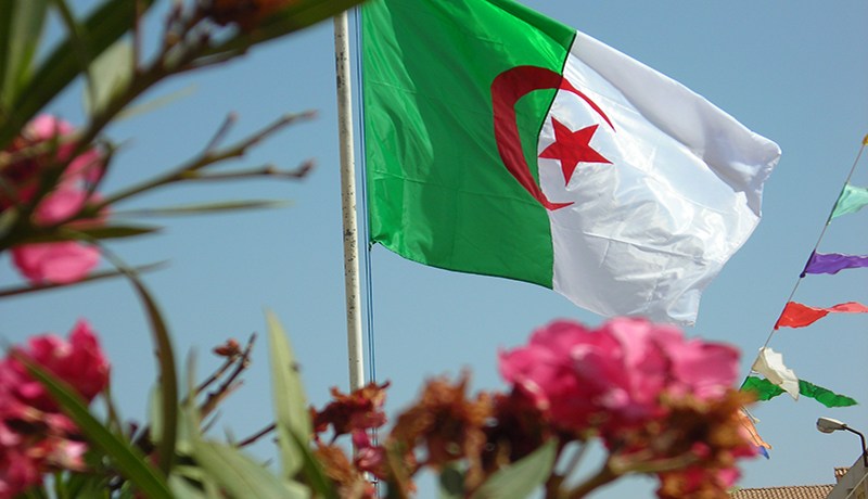 بالفيديو… العلم على الشرفات… رسالة للمتربصين بالجزائر
