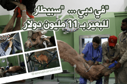 بالصور…مستشفى الجمال في دبي يكلف قرابة الـ 11 مليون دولار