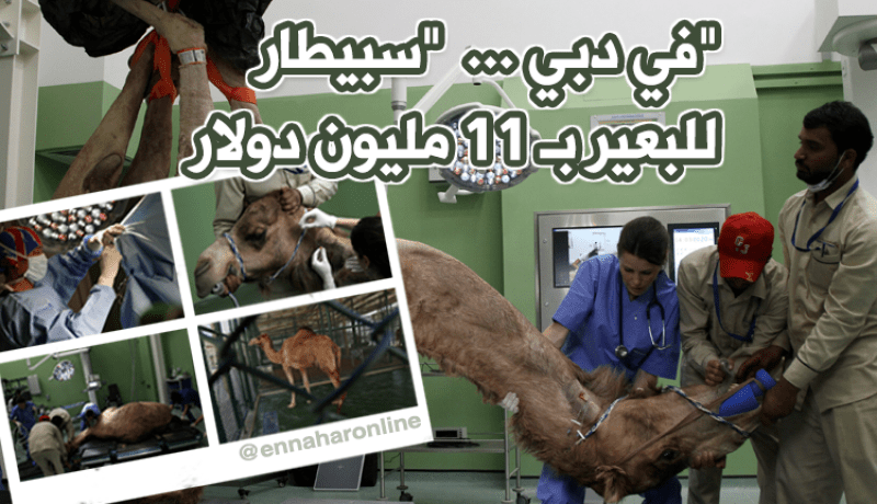 بالصور…مستشفى الجمال في دبي يكلف قرابة الـ 11 مليون دولار