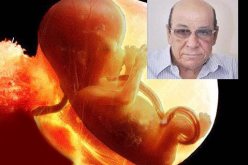 عالم أجنة يهودياً يعتنق الإسلام بسبب تحديد عدّة الطلاق للمرأة