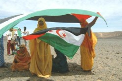 اللجنة الافريقية للاممية الاشتراكية تؤكد دعمها لحق الشعب الصحراوي في تقرير مصيره