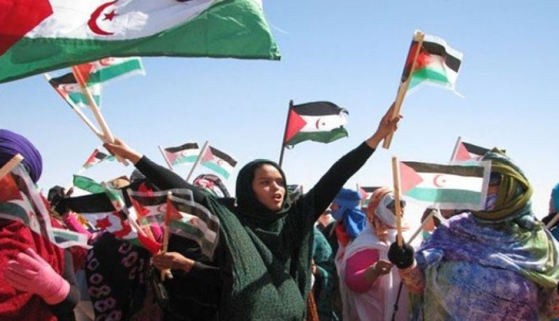 السفير الصحراوي في أوروبا يندد بالتعثر في مسار التسوية بالصحراء الغربية