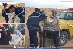 الوادي .. أعوان الحماية ينجحون في عملية توليد في عمق الصحراء