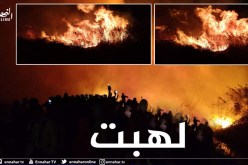 الوادي: حريق مهول بجوانب بحيرة عياطة بلدية سيدي عمران