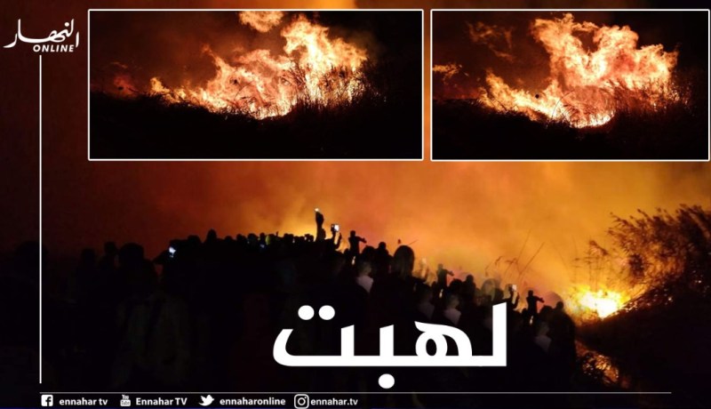 الوادي: حريق مهول بجوانب بحيرة عياطة بلدية سيدي عمران