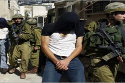 اعتقال7  فلسطينيين في الضفة الغربية