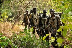 الجيش الاوغندي يؤكد استسلام احد القادة الرئيسيين لجيش الرب للمقاومة