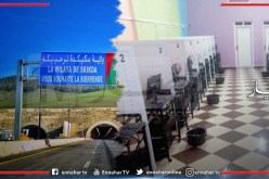 سكيكدة: إستئناف نشاط قاعات الأنترنت “cyber cafe” على مستوى الولاية  