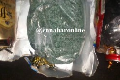 بالصور.. توقيف زوجين حاولا تهريب 3 كلغ من مسحوق البارود من فرنسا نحو  الجزائر
