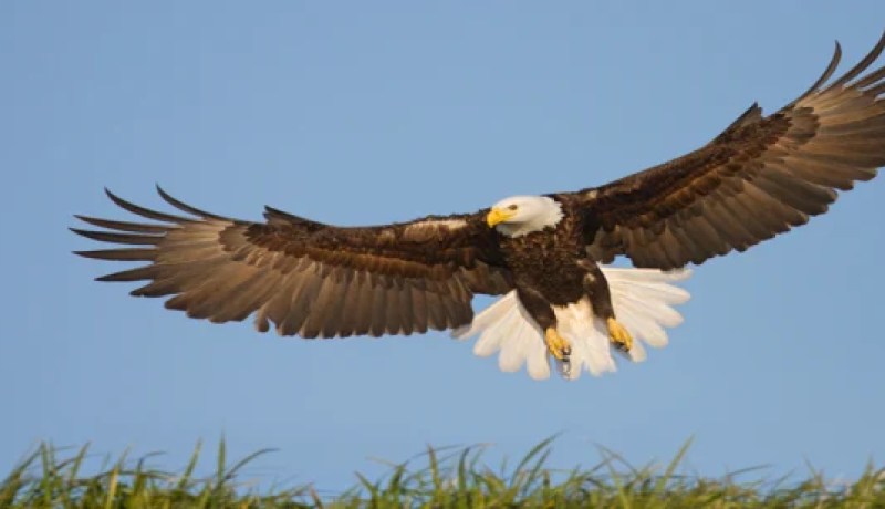 نسور اسرائيل تتجسس على السودان