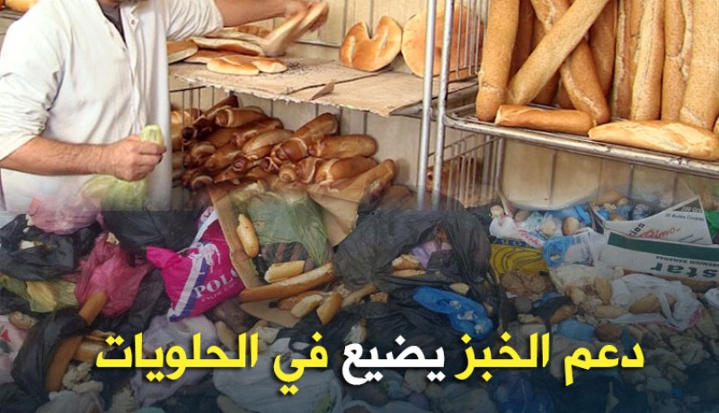 بالفيديو.. الخبازون يطالبون برفع السعر إلى 15دج
