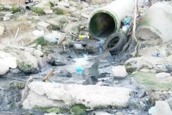 فول بصل وبيطراف مسقي بـالزيڤو لسكان العاصمة