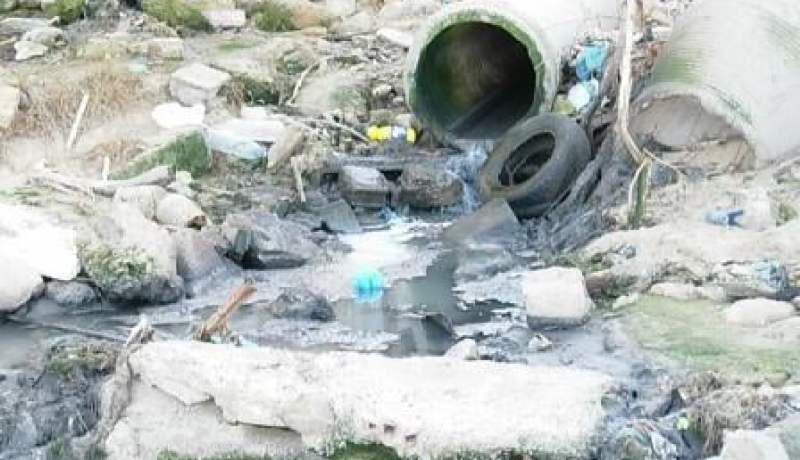 فول بصل وبيطراف مسقي بـالزيڤو لسكان العاصمة