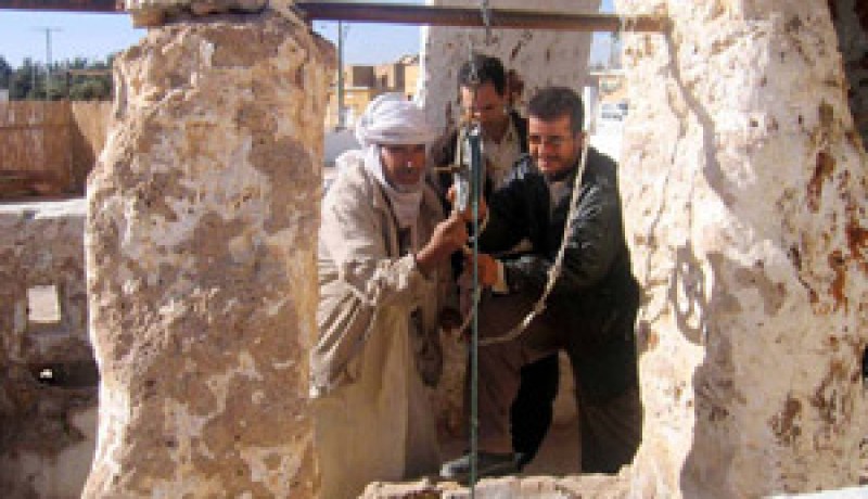 الإبل بالوادي مهددة بالهلاك نتيجة العطش في الصحراء
