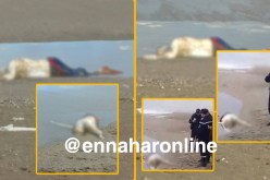 بالفيديو.. البحر يلفظ جثة حراﭫ بشاطئ زموري في بومرداس