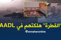 الأمطار الأخيرة تكشف المستور وتهدد حياة عائلة بالبليدة !