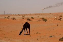 صندوق النقد يحذر السعودية من الإنفاق أكثر مما ينبغي