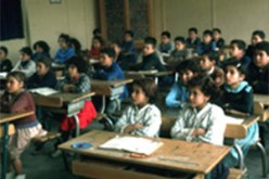 6 آلاف دينار منحة جزافية لعمال التربية بالجنوب و12 ألف منحة خاصة بالإطعام