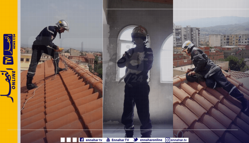 الحماية المدنية تنقذ قطا من أعلى سطح منزل بأولاد يعيش في البليدة