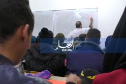 هذه نسب التلاميذ الذين تحصلوا على المعدل في المتوسط !