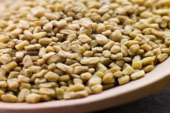 الإتحاد الأوروبي يسحب من الأسواق بذورا مستوردة من مصر لاحتمال صلتها بإي كولاي