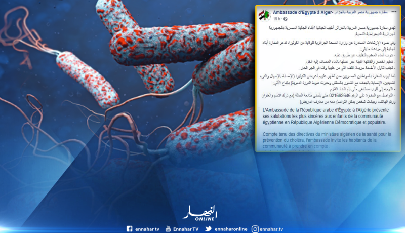 السفارة المصرية تدعو رعاياها للوقاية من الكوليرا بالجزائر