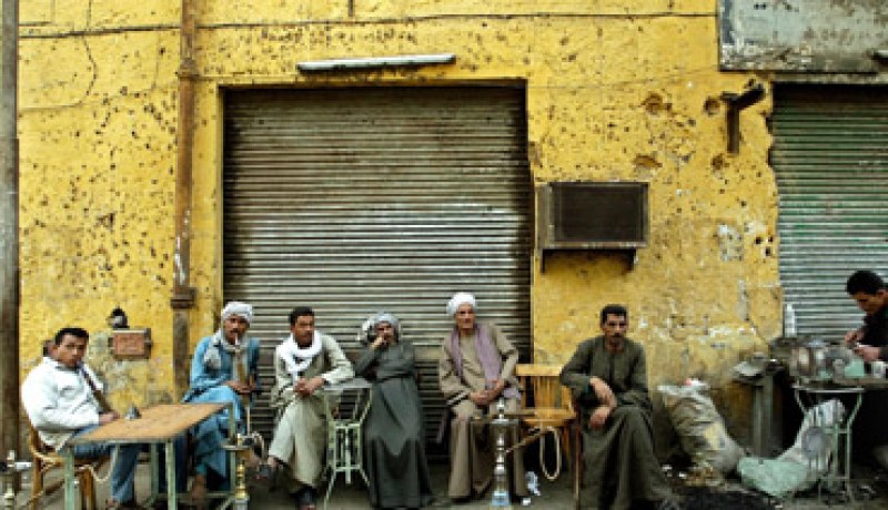 المصريون يحملون حقدهم الكروي و لا يعرفون من الجزائر إلا الشهداء، بلومي وماجر