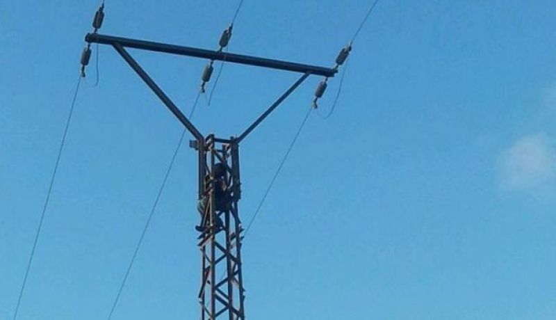 انتحار أستاذة بعد تسلقها عمود كهربائي بالنعامة