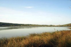 حملة تحسيسية  لحماية المناطق الرطبة بتلمسان