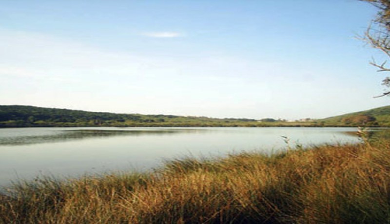 حملة تحسيسية  لحماية المناطق الرطبة بتلمسان